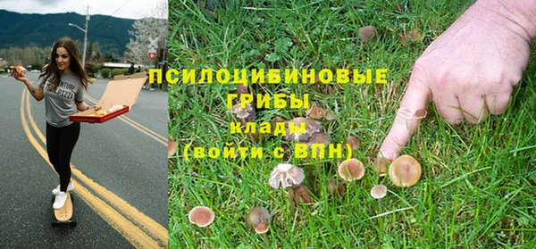 гидра Горняк