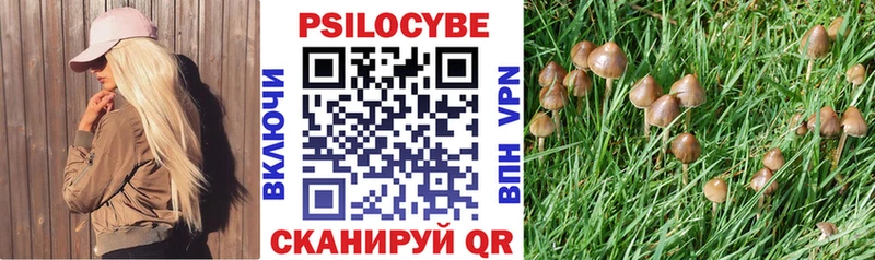 Псилоцибиновые грибы Cubensis  hydra маркетплейс  Губкинский 